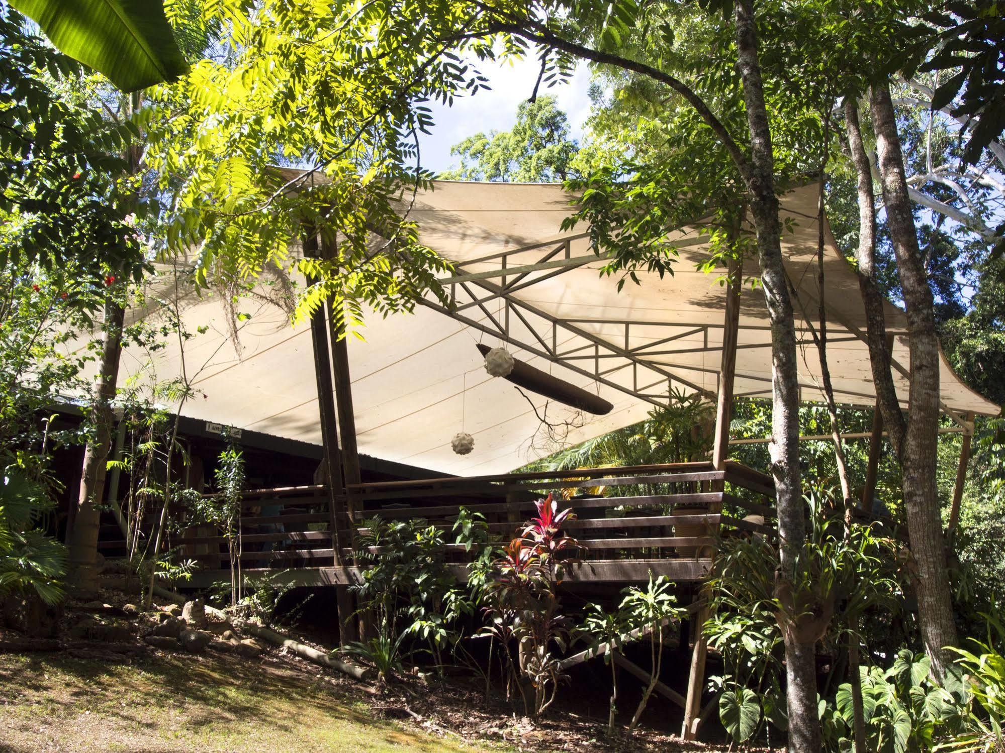 Cedar Park Rainforest Resort Koah Extérieur photo