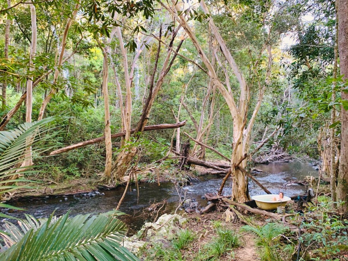Cedar Park Rainforest Resort Koah Extérieur photo